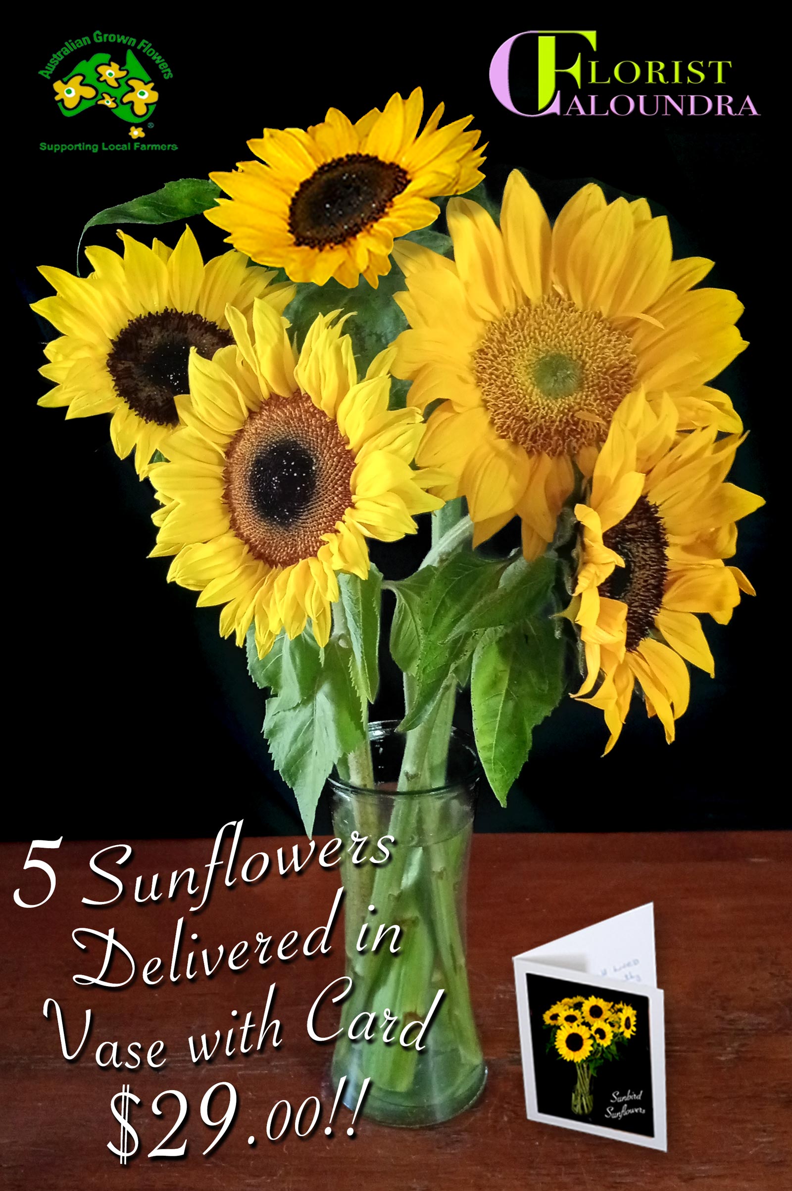 5 SUNFLOWERS