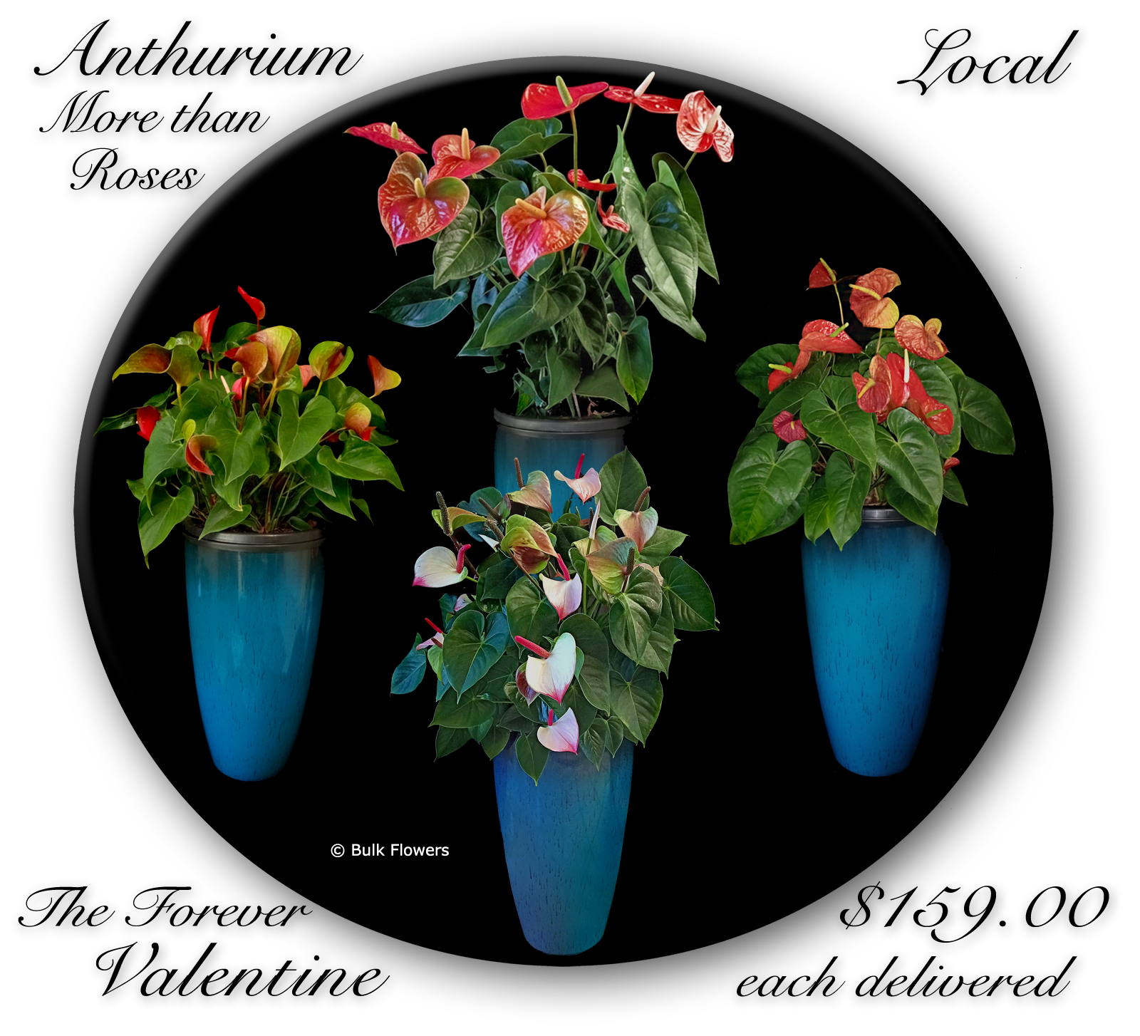 BULK FLOWERS