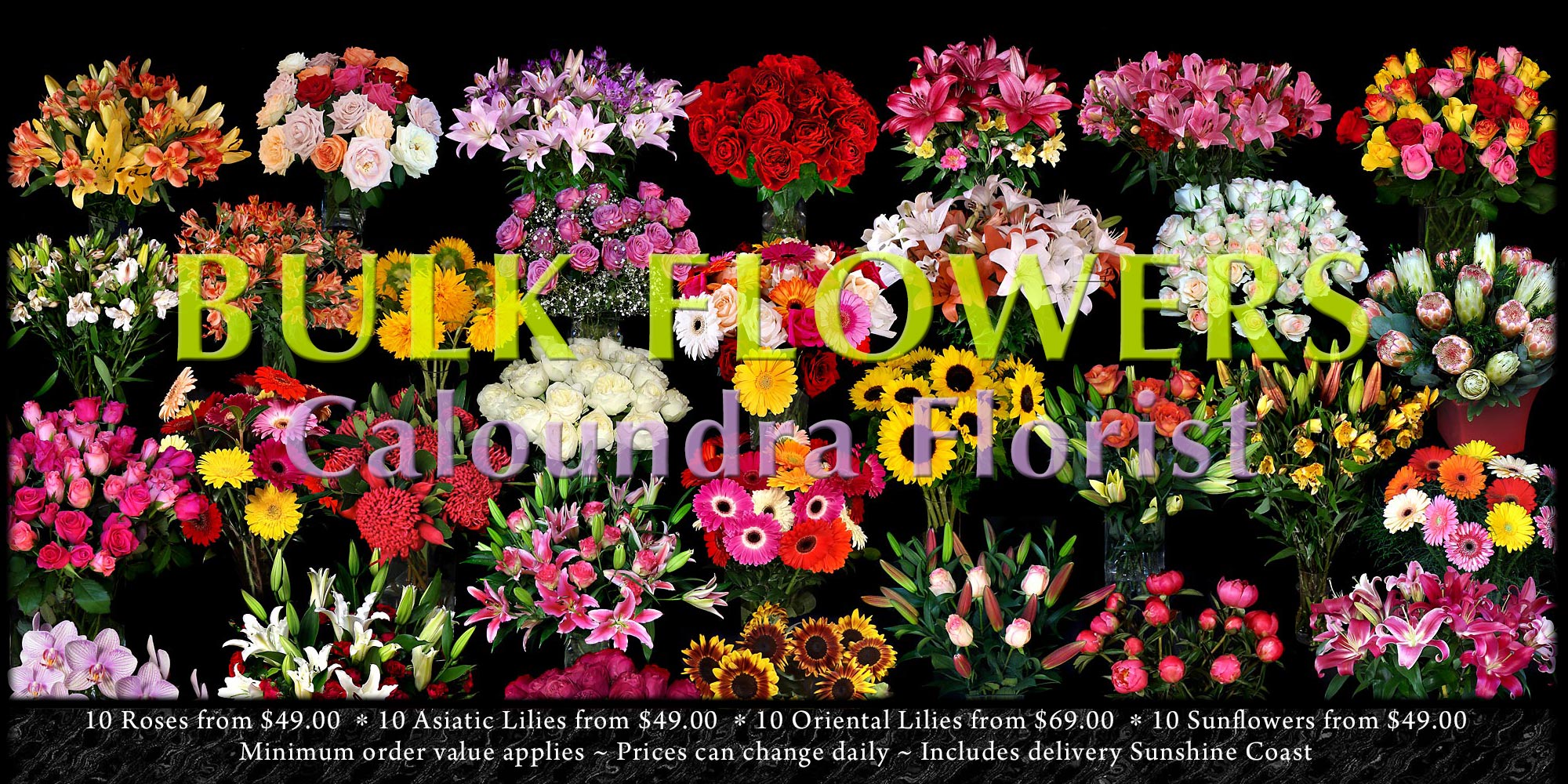 CALOUNDRA FLORIST BULK FLOWERS
