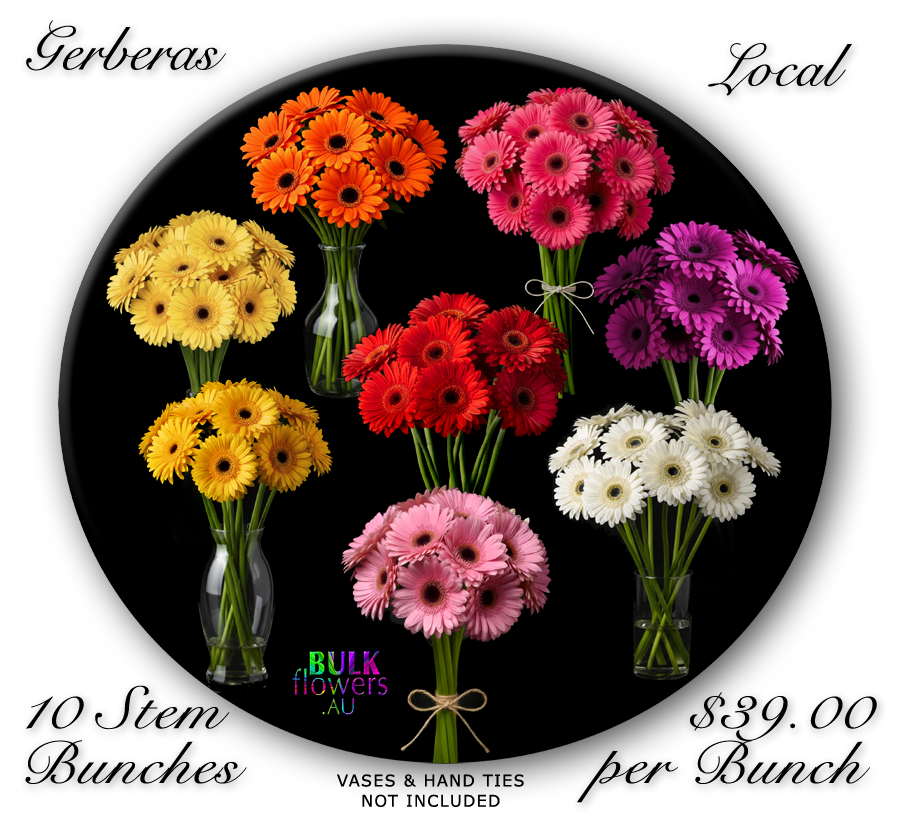 GERBERAS